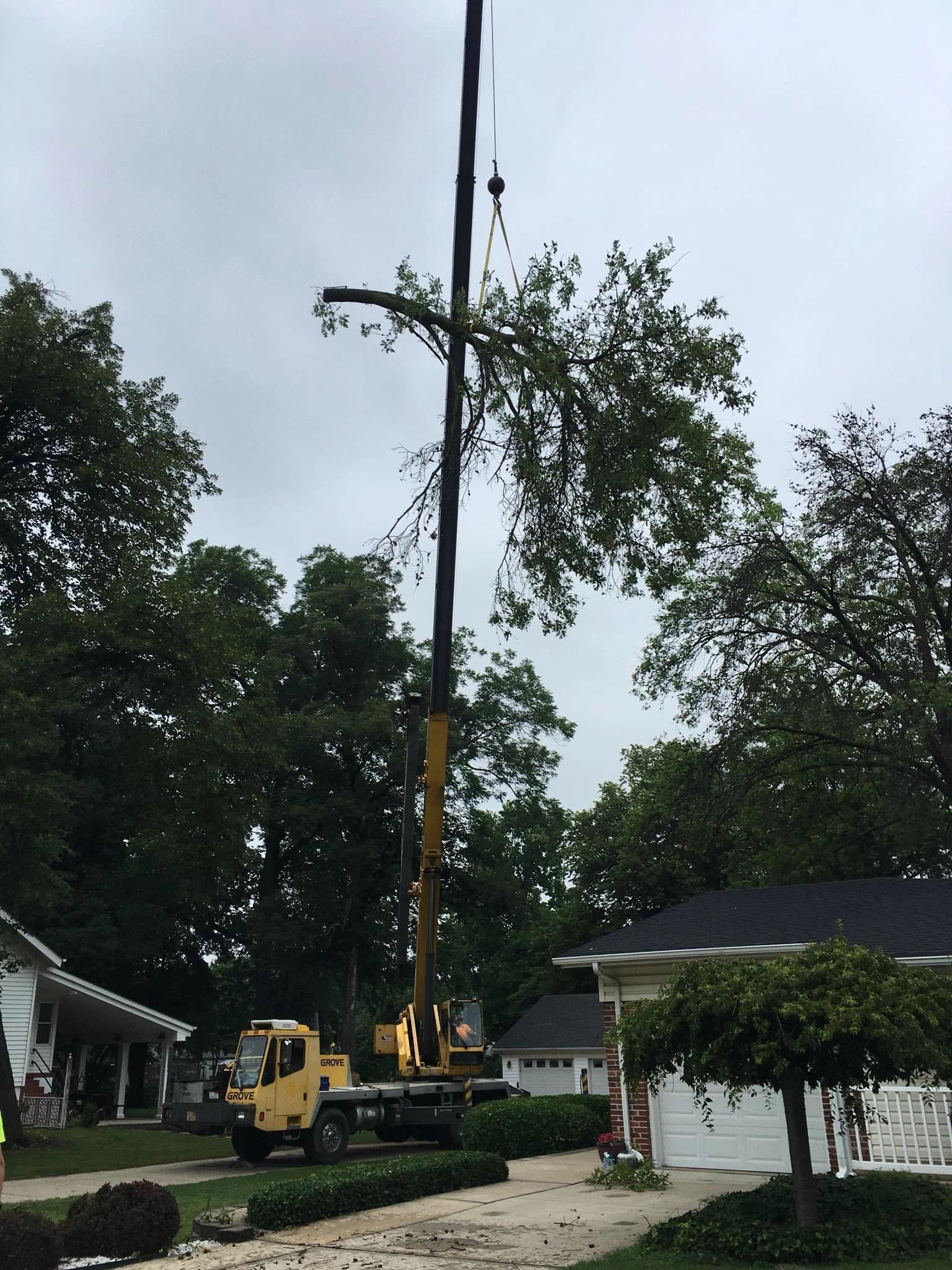 Yellow crane boom truck lifting a large tree section at a residential job site