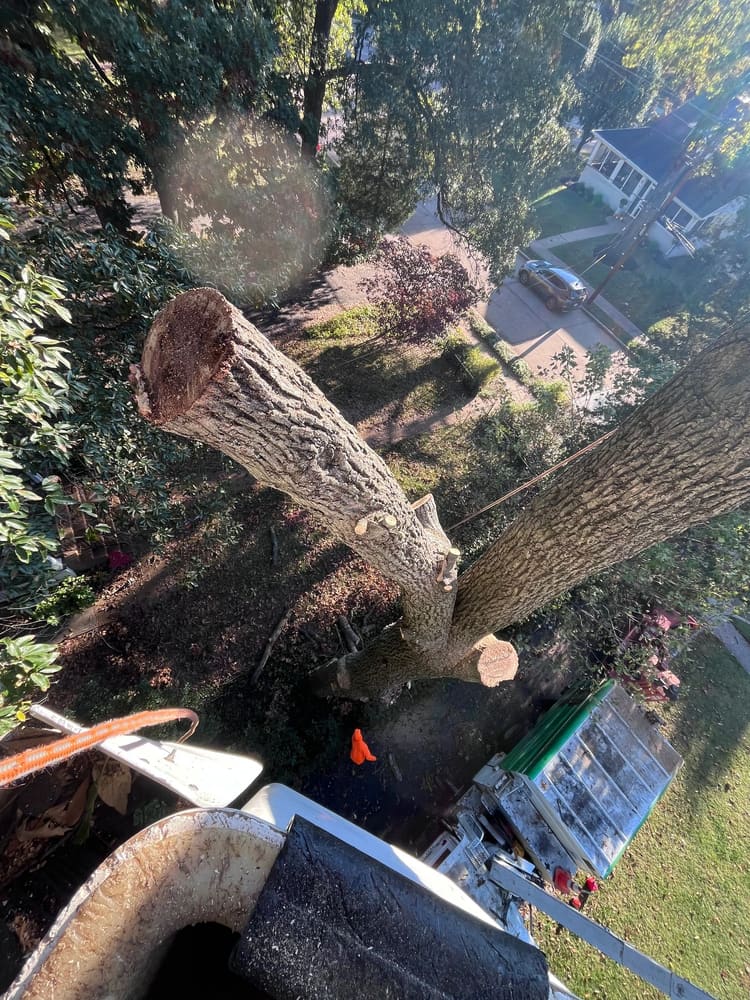 Aerial view from bucket truck looking down at felled large trunk sections on a residential property
