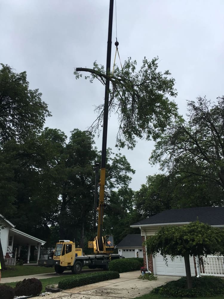 Yellow crane boom truck lifting a large tree section at a residential job site