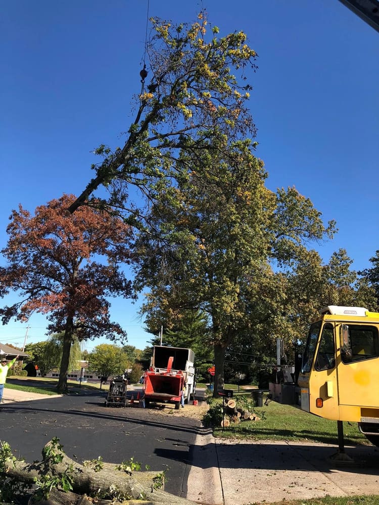 Crane boom truck and chipper at a busy residential job site — full equipment deployment