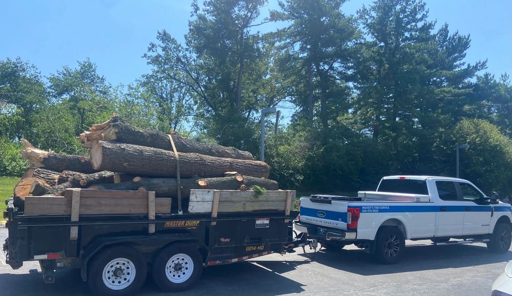 B. Woody's dump trailer loaded with large logs, pulled by the branded white Ford F-250
