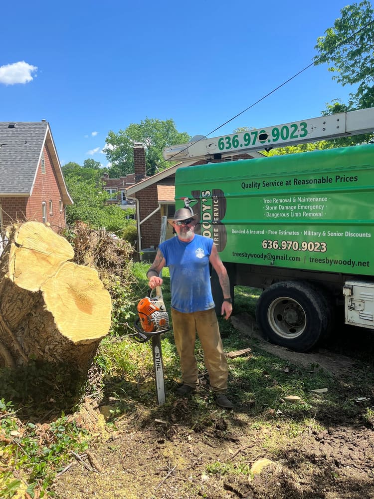 Bryan Wood, owner of B. Woody's Tree Service, holding a STIHL chainsaw beside the branded green truck